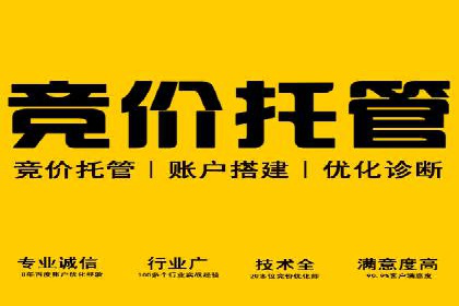 经典SEM广告案例：品牌营销成功之道